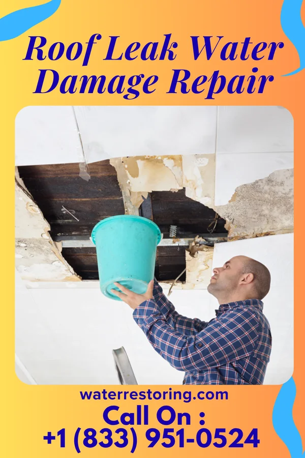 Roof Leak Water Damage Repair in Hubbard, OR